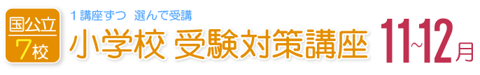 11月